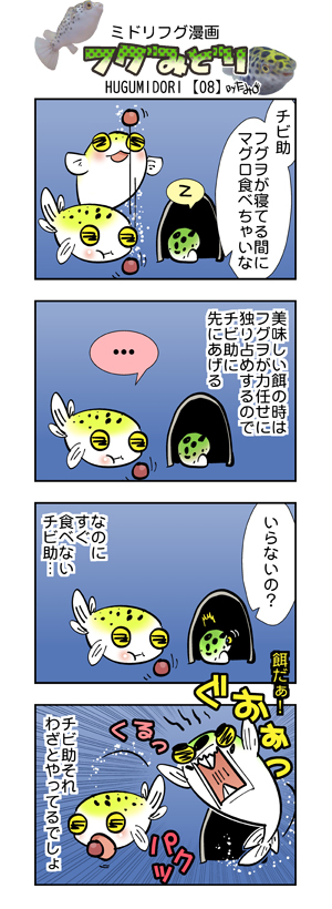 フグみどり08 ミドリフグ　４コマ漫画　byたみ.jpg
