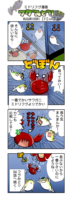 フグみどり11 ミドリフグ　４コマ漫画　byたみ.jpg