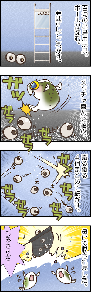 ミドリフグ ４コマ漫画 39 byたみ.jpg