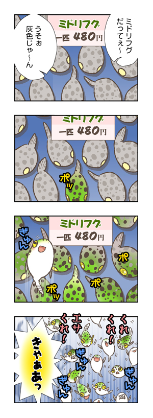 midorihugu ミドリフグ　４コマ漫画.jpg